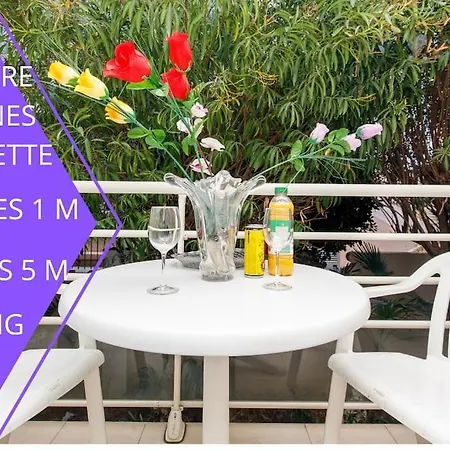 Perle Rare Centre Croisette Carlton 1mn Des Plages 5mn Palais Cannes
